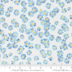 Sunshine Blue Skies 39827 11
