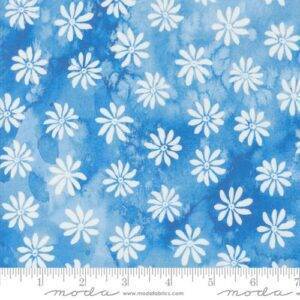 Sunshine Blue Skies 39828 12