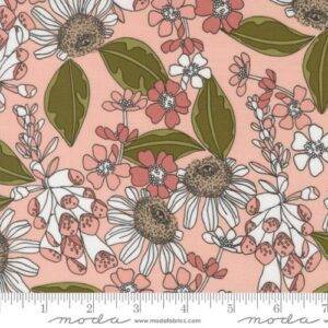 Botany 11552 16