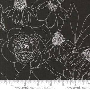 Botany 11557 12