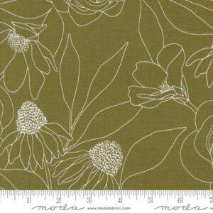 Botany 11557 18