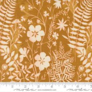Brookside Yarrow 36083 13