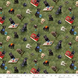 Camping Pups 2068 66