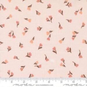Blossoms and Blooms Blush 39055 13