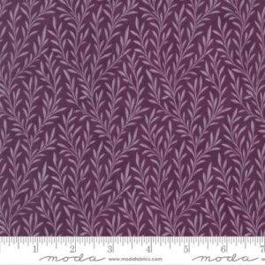 Collections Essence 46278 13
