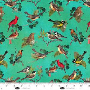 Birds and Blooms 4620 67