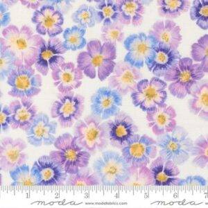 Delphinium 24650 11
