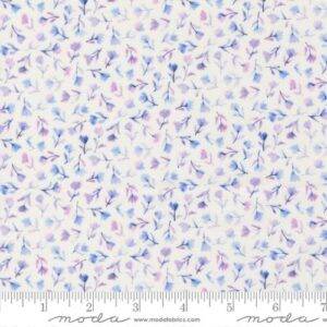 Delphinium 24654 11