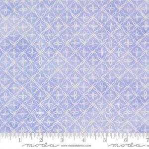 Delphinium 24656 15