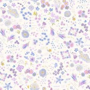 Delphinium 24659 11