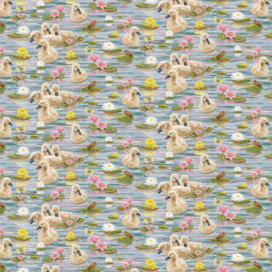 Swan Sanctuary 2490 76