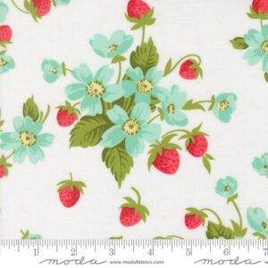Bloomsberry 55350 11