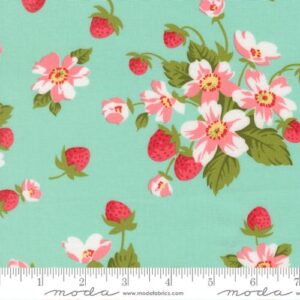 Bloomsberry 55350 13
