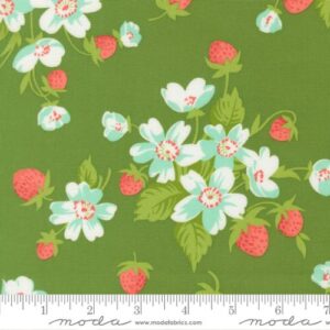 Bloomsberry 55350 15