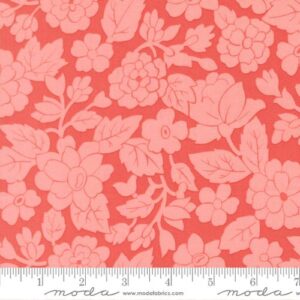 Bloomsberry 55351 17