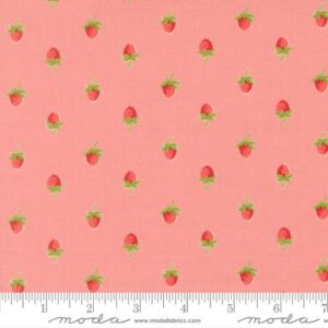Bloomsberry 55352 16