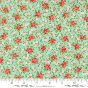 Bloomsberry 55353 13
